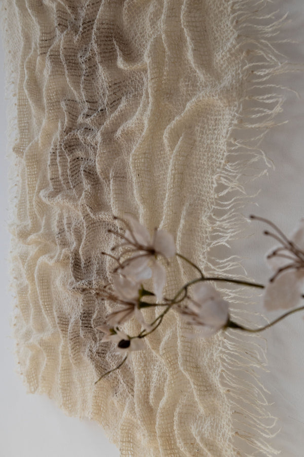 Alveo handwoven wool tapestry shown hanging on a wall